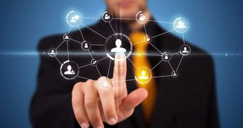 藍(lán)奧信息 突破招商困局，賦能招商技巧的信息技術(shù)咨詢服務(wù)